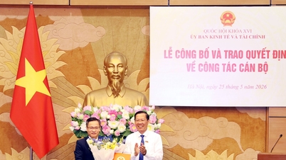 ຄະນະກຳມະການເສດຖະກິດ ແລະ ການເງິນ ໄດ້ປະກາດ ແລະ ນຳສະເໜີການຕັດສິນໃຈກ່ຽວກັບບັນຫາບຸກຄະລາກອນ.