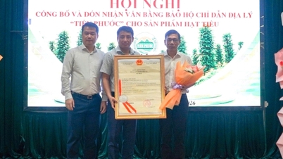 Da Nang får geografisk indikasjonsbeskyttelse for «Tien Phuoc»-pepper.