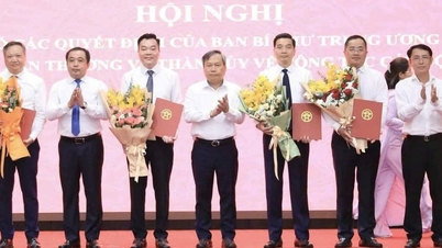 Mejar Jeneral Nguyen Thanh Long dilantik sebagai Ketua Jawatankuasa Hal Ehwal Dalam Negeri Jawatankuasa Parti Bandar Hanoi.