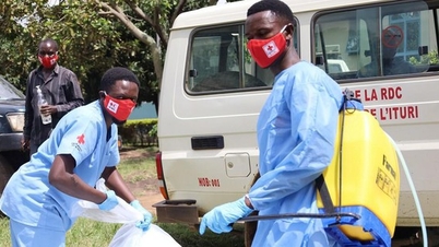 L'OMS signale plus de 900 cas suspects d'Ebola au Congo.