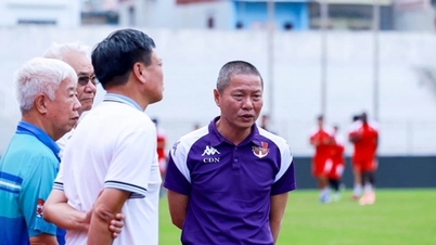 El club Ninh Binh cambia de entrenador cuatro veces en una temporada: la paradoja entre dinero y estabilidad.