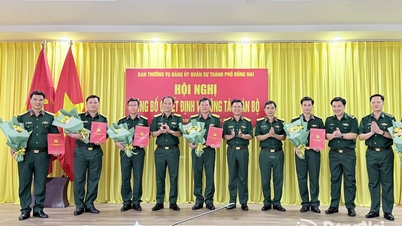 Đảng ủy Quân sự thành phố Đồng Nai công bố quyết định về công tác cán bộ