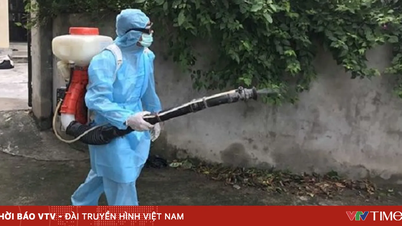 Hanoi: Het aantal gevallen van hand-, voet- en mondziekte neemt af, maar het aantal gevallen van dengue neemt toe.
