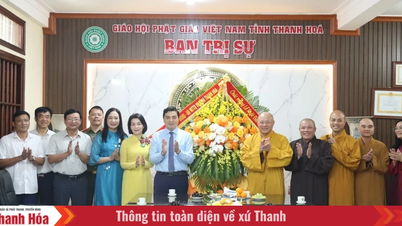 លោក ង្វៀន ហ្វាយ អាញ ប្រធានគណៈកម្មាធិការប្រជាជនខេត្ត បានទៅសួរសុខទុក្ខ និងអបអរសាទរដល់ក្រុមប្រឹក្សាភិបាលនៃសមាគមព្រះពុទ្ធសាសនាខេត្ត ព្រមទាំងឥស្សរជន ព្រះសង្ឃ ដូនជី និងពុទ្ធបរិស័ទផងដែរ។