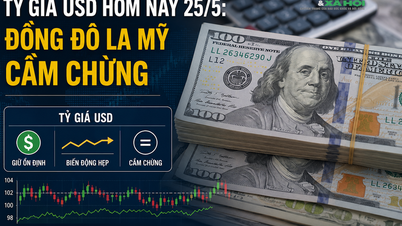 Tỷ giá USD hôm nay 25/5: Đồng Đô la Mỹ cầm chừng