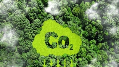Memuktamadkan peraturan mengenai perdagangan kredit karbon hutan.