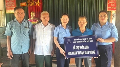 90 millions de VND d'aide ont été fournis aux familles de deux victimes d'accidents de la route à Nghe An.