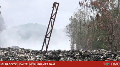 In Lam Dong werden Kiefernwälder durch schwelende Mülldeponiebrände zerstört.