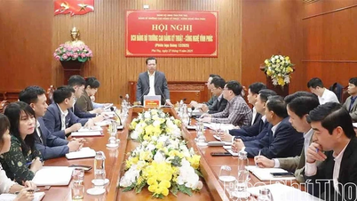 省人民委員会党委員会における検査・監督業務を強化する。