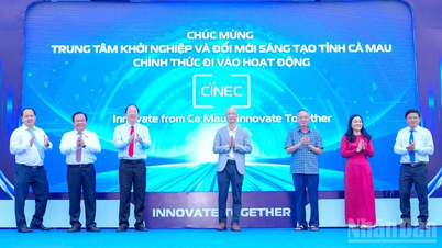Ca Mau melancarkan pertandingan syarikat baharu "NEX 2026".