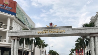Varios magnates inmobiliarios de Ciudad Ho Chi Minh han sido señalados por grandes deudas tributarias, algunos de las cuales adeudan más de 2 billones de VND.