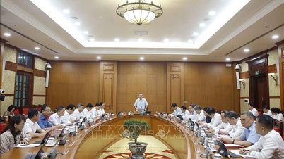 Ucapan oleh Setiausaha Agung dan Presiden To Lam pada mesyuarat mengenai penyelidikan saintifik asas.
