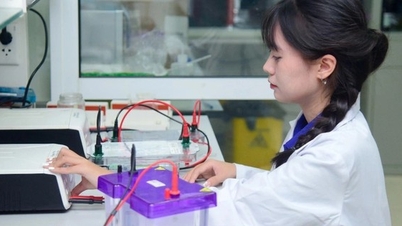 Vietnam si klade za cíl do roku 2035 založit 50 silných výzkumných skupin.