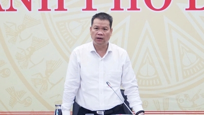 Da Nang affronterà la questione della cava di 11 milioni di metri cubi di terreno che si sovrappone alla zona di libero scambio entro il 2026.