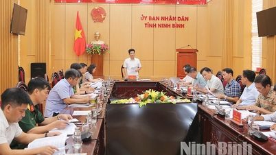 Implementarea sarcinilor Subcomitetului de Documente, Comitetului de Organizare pentru Exercițiul de Apărare Civilă din provincia Ninh Binh privind răspunsul la furtuni puternice, superfurtuni și căutare și salvare în 2026