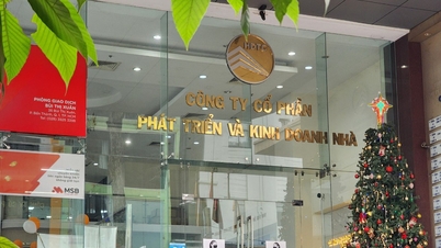 Tre fratelli benestanti, tra cui Dinh Truong Chinh, sono sotto processo per non aver consegnato i terreni che avevano venduto alla popolazione.