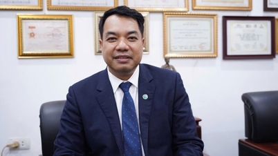 លោកវេជ្ជបណ្ឌិត ម៉ាក់ ក្វឹកអាញ៖ វប្បធម៌សេវាសាធារណៈក្លាយជា «ហេដ្ឋារចនាសម្ព័ន្ធទន់» ដែលគាំទ្រដល់ការអភិវឌ្ឍអាជីវកម្ម។