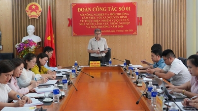 Het ministerie van Landbouw en Milieu werkt samen met het Volkscomité van de gemeente Nguyen Binh - Cao Bang Online Newspaper