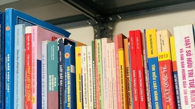Integrace právnických knihoven do kulturních institucí za účelem snížení informační chudoby.