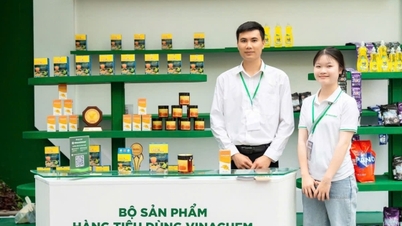 Institut vietnamien de chimie industrielle : De nombreux produits et technologies ont été commercialisés.