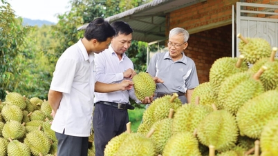 รัฐมนตรีว่าการกระทรวงเกษตรและพัฒนาชนบทได้ส่งจดหมายถึง GACC เพื่อยืนยันว่าระบบตรวจสอบย้อนกลับสำหรับผลิตภัณฑ์ทางการเกษตรได้ถูกสร้างขึ้นและใช้งานแล้ว