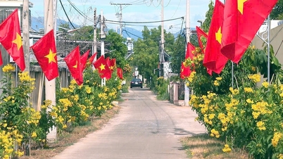 Khánh Hòa ban hành Bộ tiêu chí xã nông thôn mới hiện đại giai đoạn 2026 - 2030