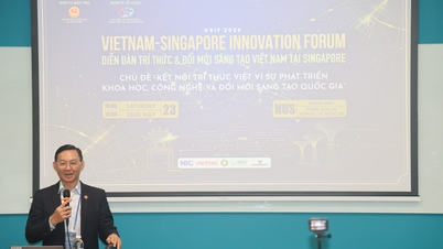 Vietnamští emigranti v Singapuru podporují vietnamské inovační úsilí.