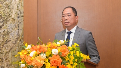 L'ex presidente di PVOIL è stato nominato vicedirettore generale di Petrovietnam.