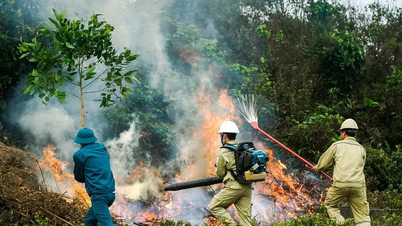 Intense heatwave, extremely high risk of forest fires.