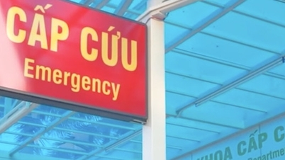 39 personnes hospitalisées après avoir consommé du pain à Gia Lai.