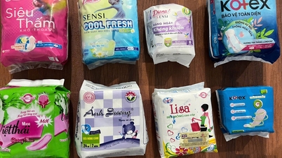 Úřady odhalily zařízení, které vyrábělo a prodávalo padělané hygienické vložky nesoucí názvy mnoha známých značek na trhu.