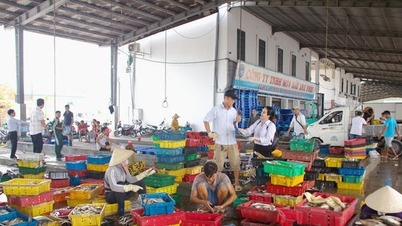 Twelve communes in Ca Mau province are developing plans to establish wards.