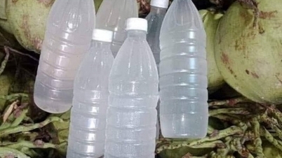 Metode simple de detoxifiere a organismului pe vreme caldă, perfecte pentru gospodine.