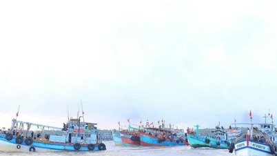 Can Tho își propune să devină centrul economic maritim al regiunii Delta Mekongului.