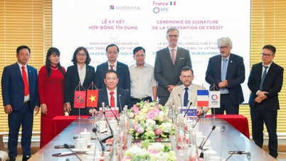 Agribank ký kết Hợp đồng tín dụng Hạn mức tài chính khí hậu với Cơ quan Phát triển Pháp