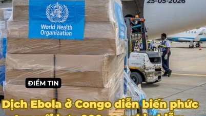 [Podcast] Weltnachrichten 25. Mai: Ebola-Ausbruch im Kongo verschärft sich mit über 900 Verdachtsfällen.