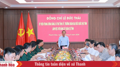 Partijsecretaris Le Duc Thai van de provincie: De provinciale strijdkrachten hebben de situatie vroegtijdig en van afstand proactief ingeschat en zo de stabiliteit in het gebied weten te handhaven.