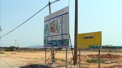 Διευκρίνιση των εμποδίων που προκαλούν καθυστερήσεις στα πυρηνικά έργα Ninh Thuan 1 και 2.