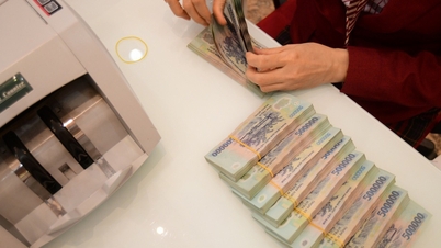 Comment se portent les centrales thermiques PC1, TV1, TV2 et Hai Phong ?