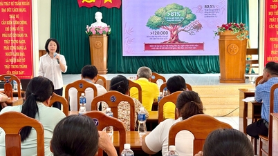 O Departamento de Justiça da província de Lam Dong organizou uma conferência de capacitação sobre mediação comunitária na Zona Econômica Especial de Phu Quy.