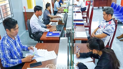 De nombreuses nouvelles réglementations concernant l'immatriculation des entreprises.