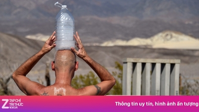 ציפורים נפלו לקרקע מיחידת המיזוג החיצונית בגלל החום.