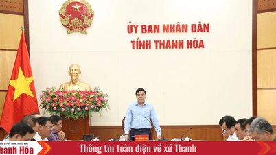 Thanh Hoa-provinsen bekjemper, forebygger og håndterer resolutt brudd på immaterielle rettigheter.