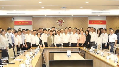 Bộ KH&CN và Tập đoàn Sunwah thúc đẩy hợp tác công nghệ chiến lược và phát triển nhân lực chất lượng cao