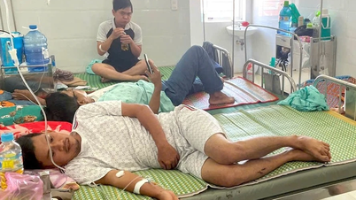 75 orang disyaki keracunan makanan selepas makan roti di Gia Lai; pemilik kedai itu turut dimasukkan ke hospital.