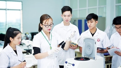Vietnam menggalakkan penyelidikan asas untuk menguasai teknologi teras.