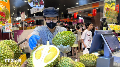 Durian "Green Stream": 23,000 label kebolehkesanan telah dilekatkan pada produk.