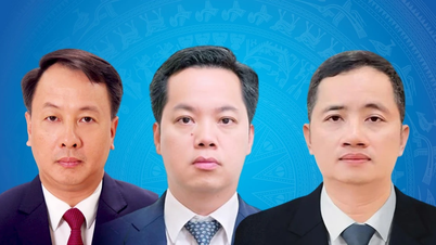 Portraits of the Head of the Internal Affairs Department, the Head of the Organization Department, and the Chairman of the Inspection Committee of the Hanoi City Party Committee.