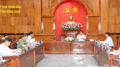 Expedite the preparations for the first Dong Thap Fruit Festival in 2026.