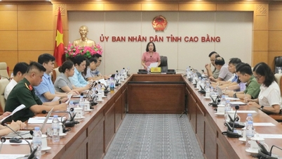 Meeting of the Steering Committee for the 10th Provincial Sports and Physical Education Congress in 2026 - Cao Bang Online Newspaper